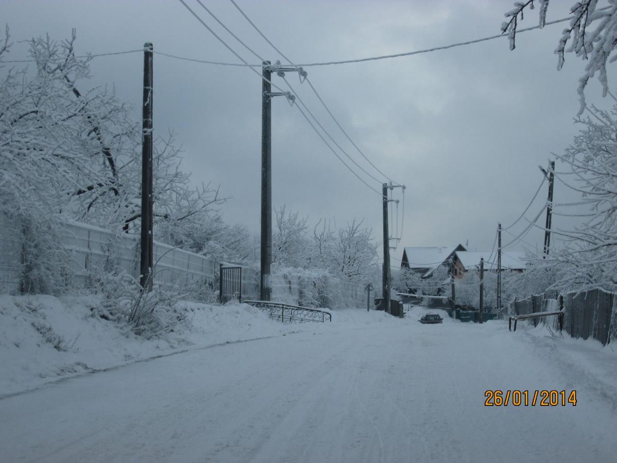 Iarna în Satul Păun